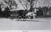 Central Dispensary and Emergency Hospital, Washington, D.C: Horse Drawn Ambulance. Original public domain image from Flickr