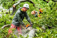 Hurricane Florence, Public Works clears downed trees from blocked streets, September 14, 2018. Original public domain image from Flickr