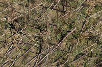 AMO Black Hawk crew conducts flyover of Hurricane Michael impact area