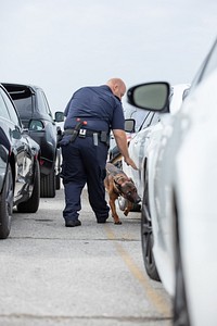 Canine handler inspects vehicles at the Area Port of Jacksonville, Florida