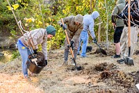 ECU students, faculty, grounds services, and City of Greenville Public Works staff planted 100 trees along Town Creek, November 28, 2018. Original public domain image from Flickr