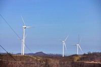 Buffalo Mnt. TVA Wind Mills 2004