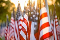  American flags at field of honor