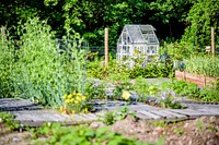 Greenville community garden, USA