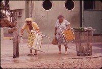 Members of the Large Retirement Population of South Beach These Ladies Live in One of the Many Residential Hotels That Border the Public Beach. Photographer: Schulke, Flip, 1930-2008. Original public domain image from Flickr