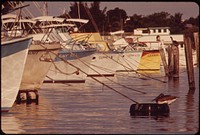 Pelican Sits on a Mooring at the Municipal Boat Docks.  Original public domain image from Flickr