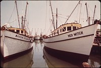 Shrimp Boats Lie at Anchor at the Commercial Fishing Dock. Photographer: Schulke, Flip, 1930-2008. Original public domain image from Flickr