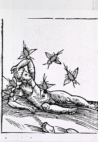 A man being attacked by insects. Male human figure lying on the ground with several strange looking insects attacking and biting him. Original public domain image from Flickr