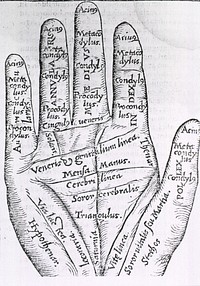 PalmistryAuthor(s): Cardano, Girolamo, 1501-1576, Author. The palm of a hand with the lines and the various zones of the fingers identified. Original public domain image from Flickr