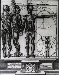 Myologic plate of Crisóstomo Martínez. Three upright muscle-manikins, representing views from different sides, with bones sketched in and musculatures fully crosshatched; at right is an outline representation of a child's skeleton; figures are surrounded by proportional circles and lines. Original public domain image from Flickr