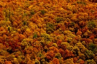 Aerial Oak Ridge Reservation 2006