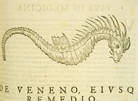 Sea-horseContributor(s): Aldrovandi, Ulisse, 1522-1605? Illustration of a sea-horse in profile. Original public domain image from Flickr