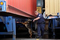 U.S. Customs and Border Protection and Homeland Security Investigations led a multi-agency inspection of the MSC Gayane that resulted in the seizure of about 35,000 pounds of cocaine discovered in seven shipping containers June 17, 2019. 