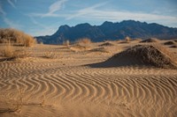 Mojave Preserve Kelso Dunes, California