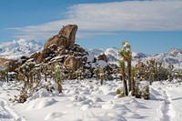 Headstone Rock in snow