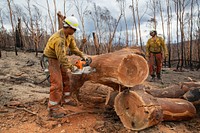 US firefighters in Australia