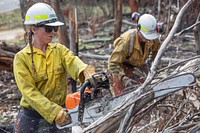 US firefighters in Australia