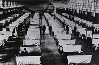 Quarantine Ward. Overhead view of a special ward. The patients' beds are separated by screens. Everyone wears a mask. Nets hang from the ceiling. Original public domain image from Flickr