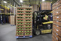 A forklift operator shuttles a pallet loaded with boxes of watermelons as fruit shipments arrive at the Port of Philadelphia in Philadelphia, Pa., April 16, 2020.