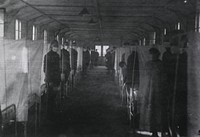 U. S. Army Base Hospital Number 26, Allerey, France: Contagious disease ward showing the partitions between beds. Original public domain image from Flickr