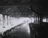 U.S. American National Red Cross Hospital No.4, Liverpool, England: Interior view- Contagious Ward. Original public domain image from Flickr