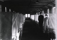 U. S. Army Base Hospital Number 26, Allerey, France: Contagious ward partitions. Original public domain image from Flickr