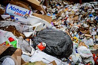 Greenville Public Works Recycling Coordinator audits a recycling collection on Monday, October 12, 2020. Original public domain image from Flickr