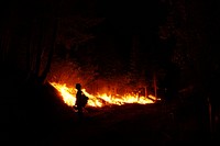 Firefighter crews, forest fire. Original public domain image from Flickr