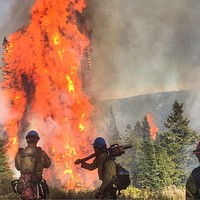 Firefighter on duty, wildfire. Original public domain image from Flickr