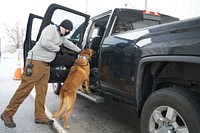 Canines conduct a sweep of vehicles entering a restricted area near the U.S. Capitol as U.S. Customs and Border Protection officers and agents work alongside partner federal and local law enforcement to provide security in support of the 59th Presidential Inauguration in Washington D.C, January 16, 2021.