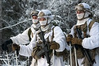 Army paratroopers debrief after completing a skijoring exercise at Joint Base Elmendorf-Richardson, Alaska, Jan. 27, 2021. (U.S. Air Force photo by Alejandro Peña). Original public domain image from Flickr