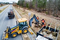 Tree Planting on Regency BlvdPublic Works plants trees along Regency Boulevard on Tuesday, February 2, 2021.