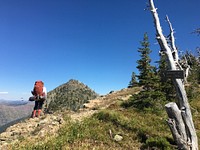 A backpacker on the Alpine 7 trail takes a moment to enjoy the view of Warrior Mountain, Flathead National Forest, Montana. Original public domain image from Flickr