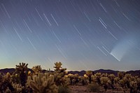 Star trails and comet over Cholla Cactus Garden, California