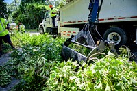 Public Works crews remove fallen trees and storm debris following Hurricane Isaias on Tuesday, August 4, 2020. Original public domain image from Flickr