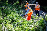 Public Works crews remove fallen trees and storm debris following Hurricane Isaias on Tuesday, August 4, 2020. Original public domain image from Flickr