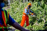 Public Works crews remove fallen trees and storm debris following Hurricane Isaias on Tuesday, August 4, 2020. Original public domain image from Flickr