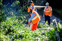 Public Works crews remove fallen trees and storm debris following Hurricane Isaias on Tuesday, August 4, 2020. Original public domain image from Flickr