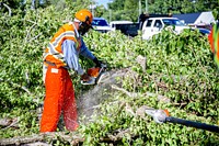 Public Works crews remove fallen trees and storm debris following Hurricane Isaias on Tuesday, August 4, 2020. Original public domain image from Flickr