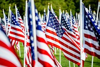  American flags at field of honor