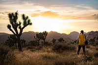 Hidden Valley area at sunset, Joshua Tree National Park, California