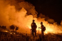 Pine Gulch Fire. Night operations on the Pine Gulch Fire in Colorado. Photo by Kyle Miller, Wyoming Hotshots, USFS. Original public domain image from Flickr