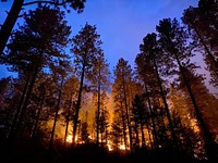 New Mexico Wildfires, natural disasters. Original public domain image from Flickr