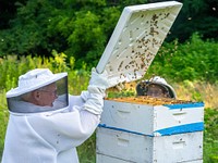 John and Ann Wynn tend to their honeybees at Wynn Farm in North Salem, IN Aug. 2, 2021. (NRCS photo by Brandon O'Connor). Original public domain image from Flickr