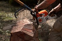 A chainsaw digs into a log as U.S. Border Patrol agents clear downed trees from residences in the wake of Hurricane Ida near Baton Rouge, La., August 31, 2021.