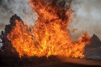 Soldiers on Dixie Fire. The U.S. Army Soldiers work with the BLM California Folsom Lake Veterans handcrew on the Dixie Fire, Lassen National Forest. The Soldiers work on line construction in Division QQ. Original public domain image from Flickr