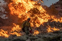 Ruby Mountain Hotshots. The Ruby Mountain interagency hotshot crew conducts burnout operations during the Dixie Fire, Lassen National Forest. Original public domain image from Flickr