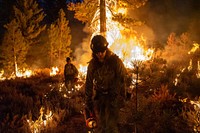 Ruby Mountain Hotshots. The Ruby Mountain interagency hotshot crew conducts burnout operations during the Dixie Fire, Lassen National Forest. Photo by Joe Bradshaw, BLM. Original public domain image from Flickr