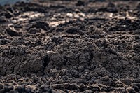 Dirt soil ground. Original public domain image from Flickr