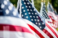  American flags at field of honor